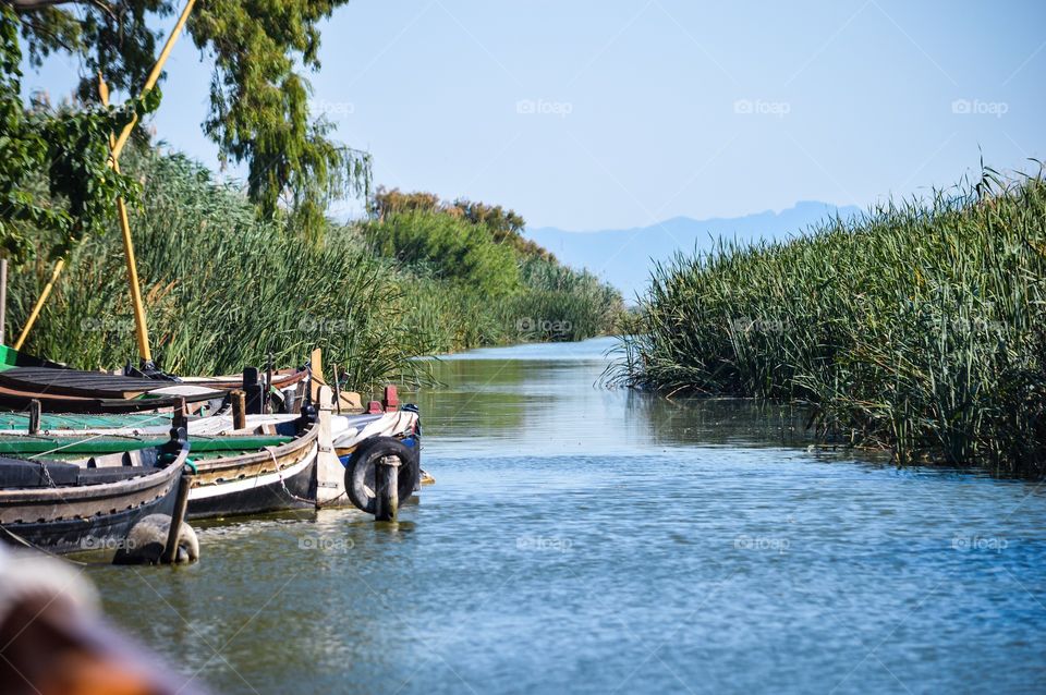 Boats on the Albufera