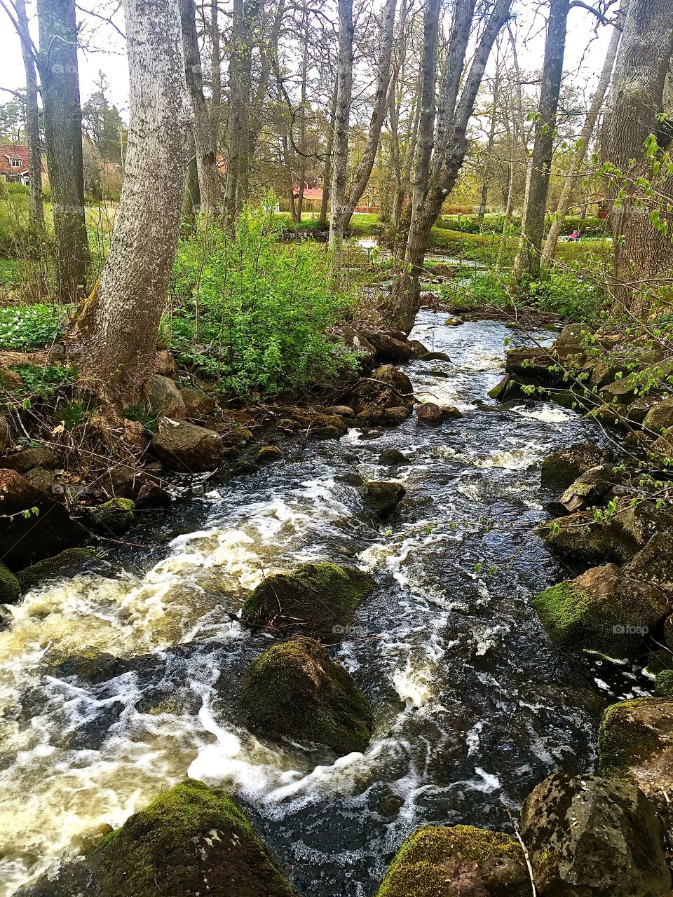 Wirabruk . Landscape