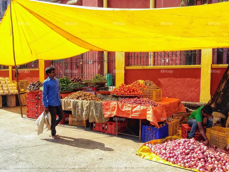 I love these beautiful Indian colors