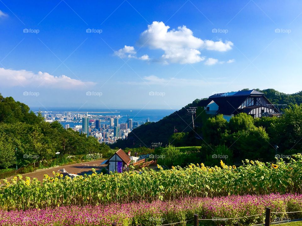 Escape from the city. 