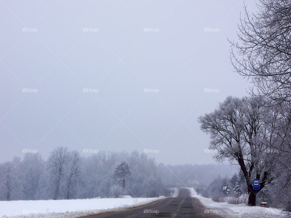 snowy road in winter
