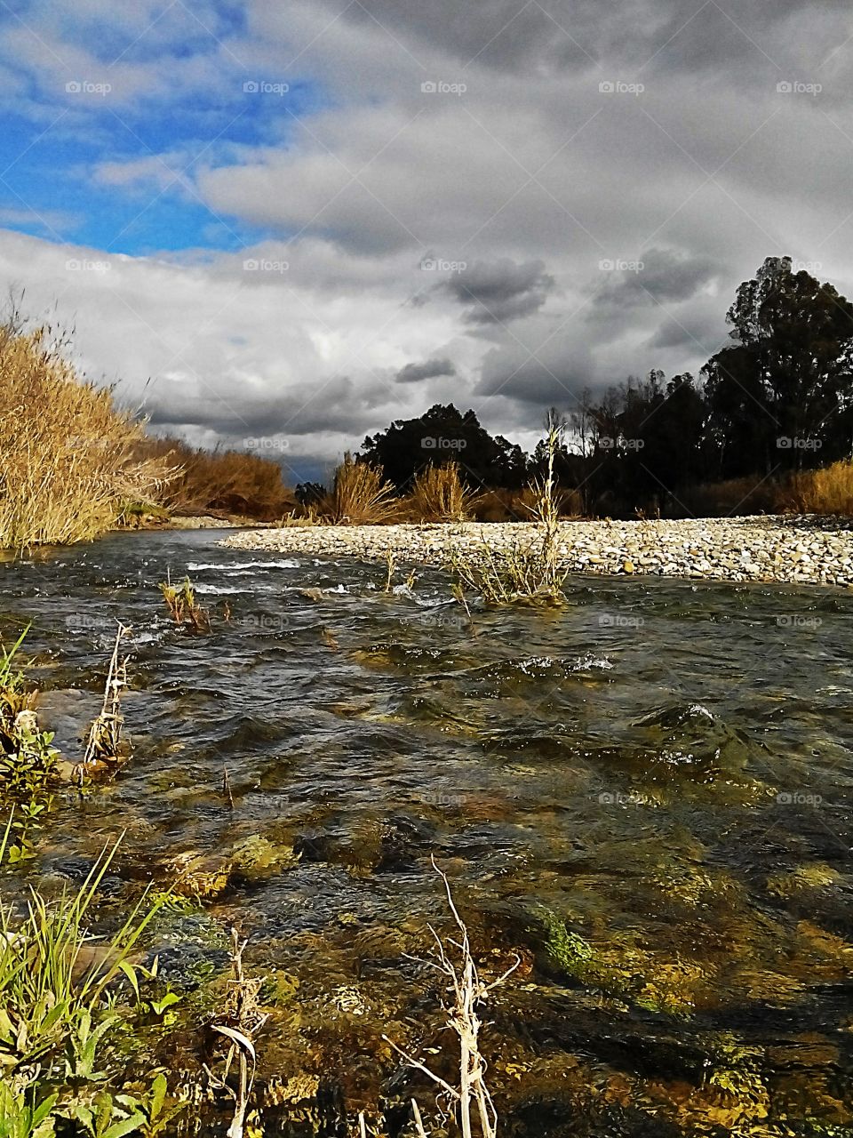 Río Grande River in Coin,  Andalucia 