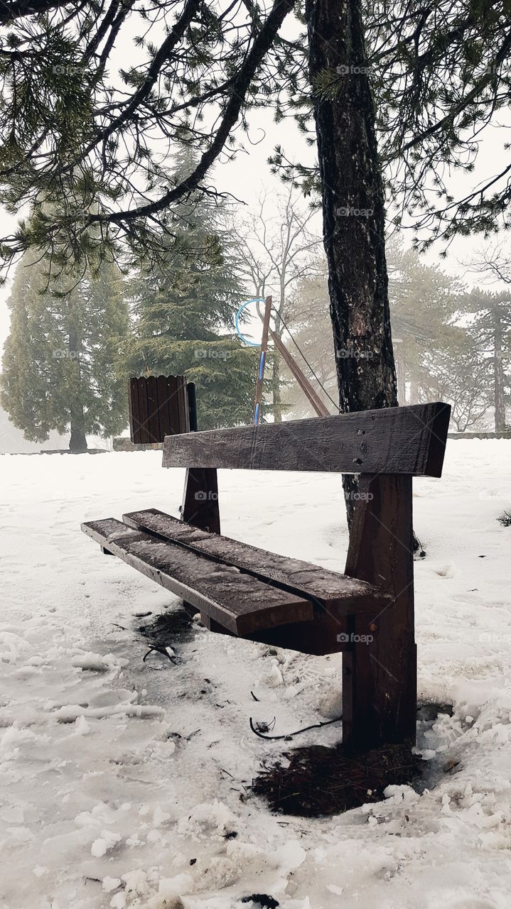 A bench within a wintery scenery
