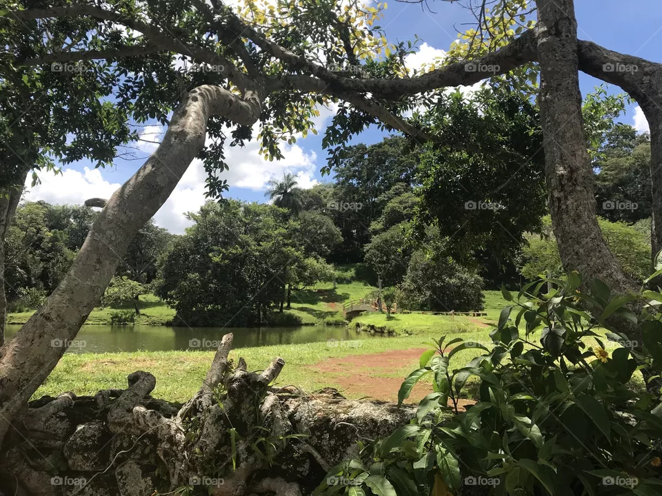 Nature