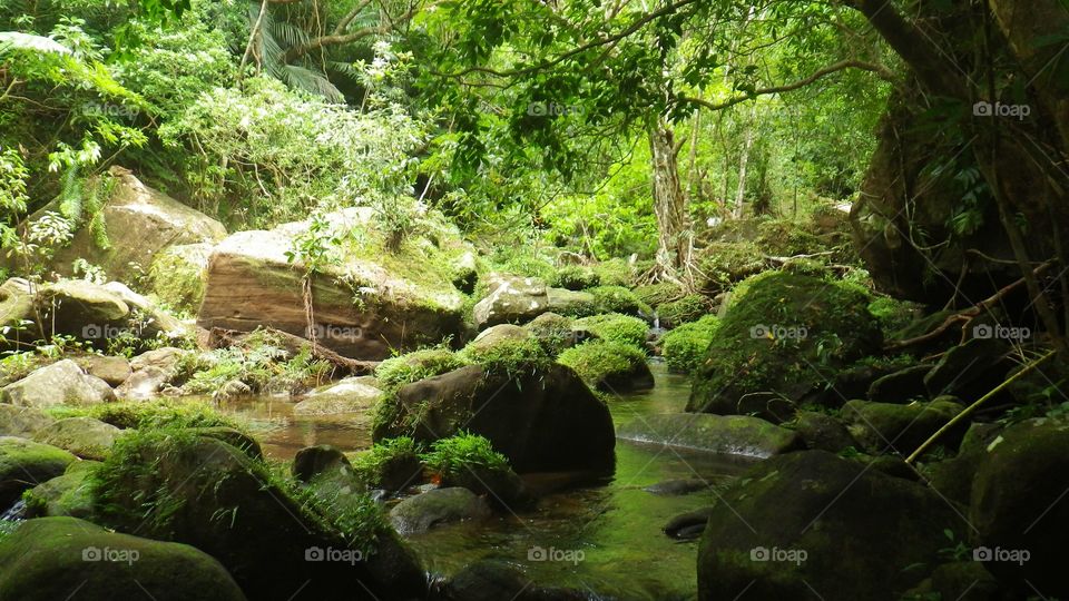 Creek in Okinawa
