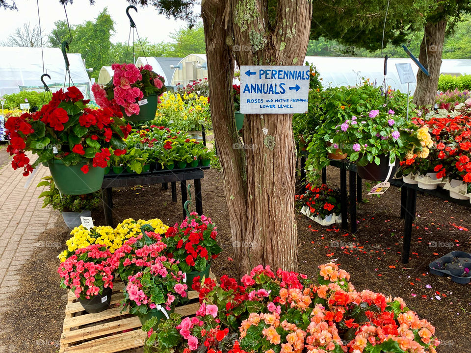 CapeAbilities Farm, Dennis, MA