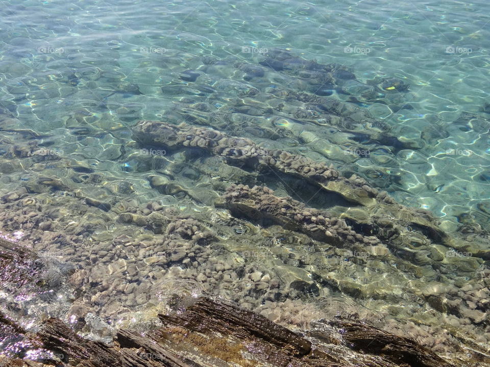 great to snorkeling..