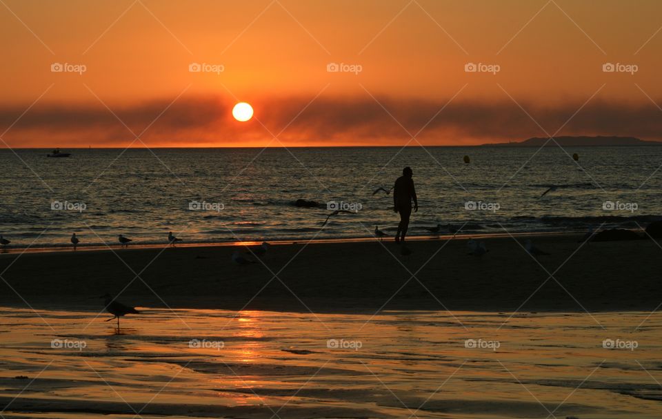 A stroll on the beach