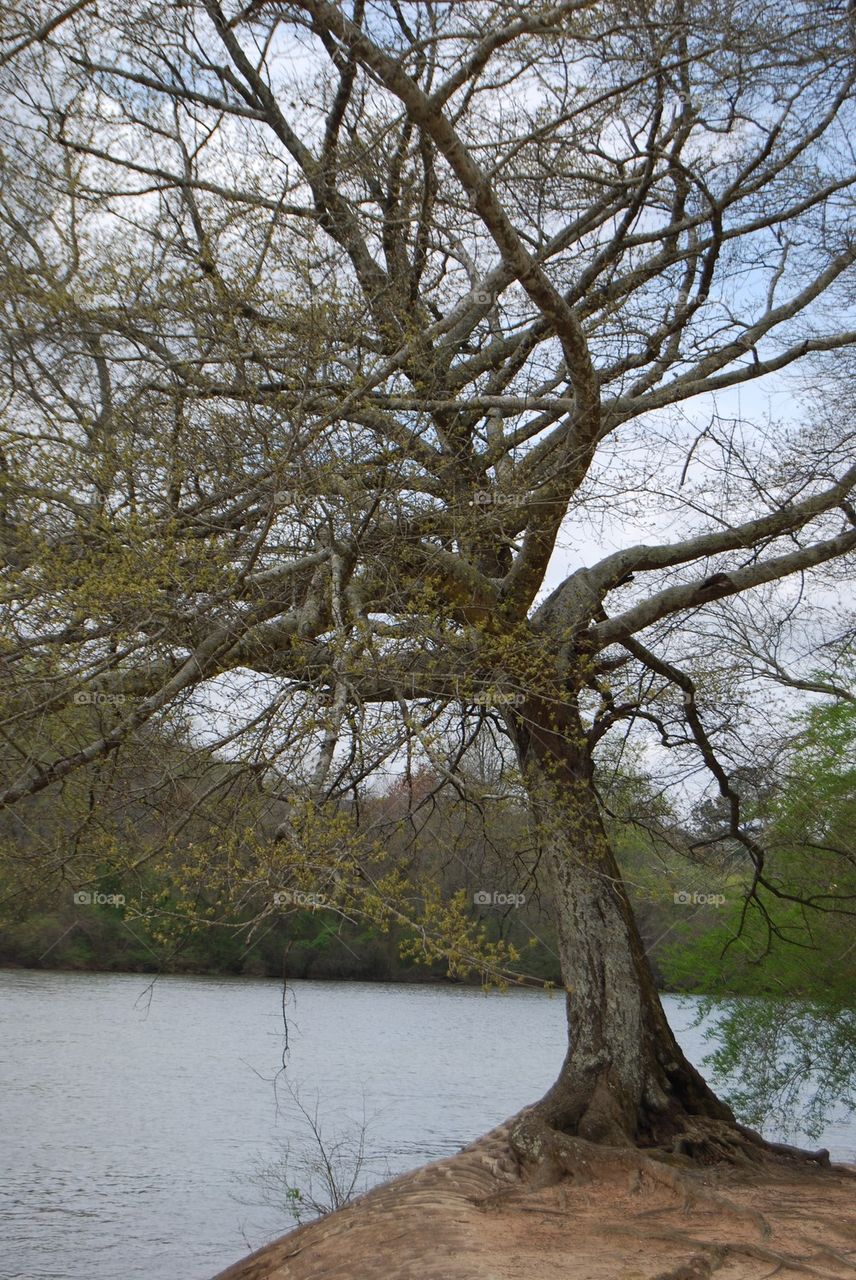 Chattahoochee River