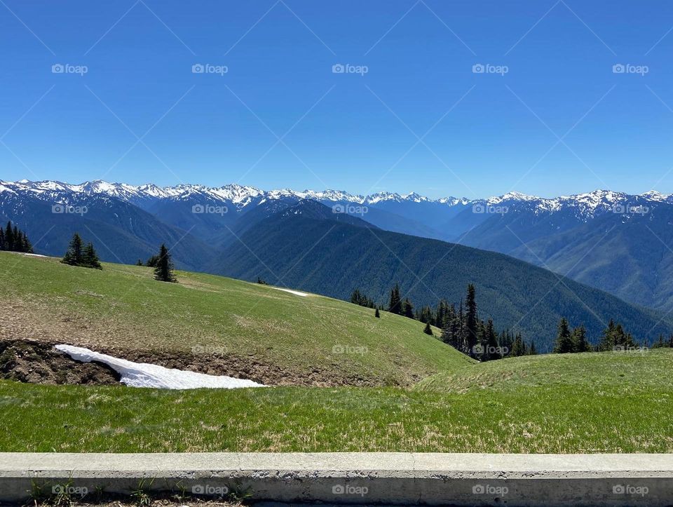 Olympic Mountain Range from Hurricane Ridge