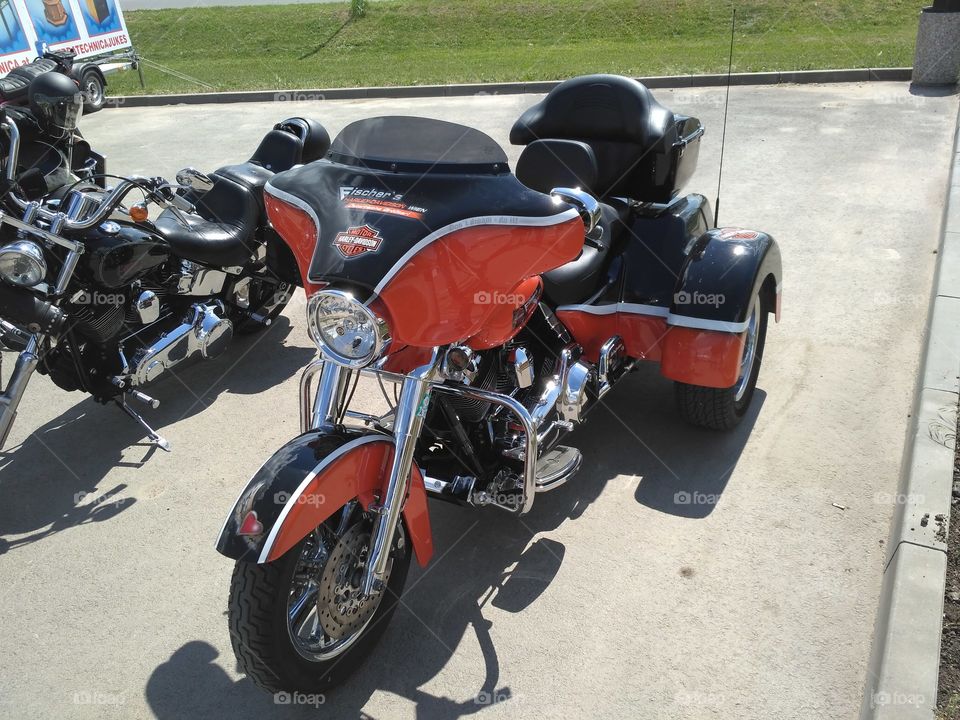 HD Harley Davidson treebike
