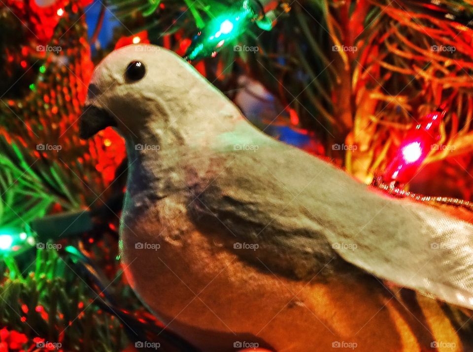 Dove Christmas Ornament
