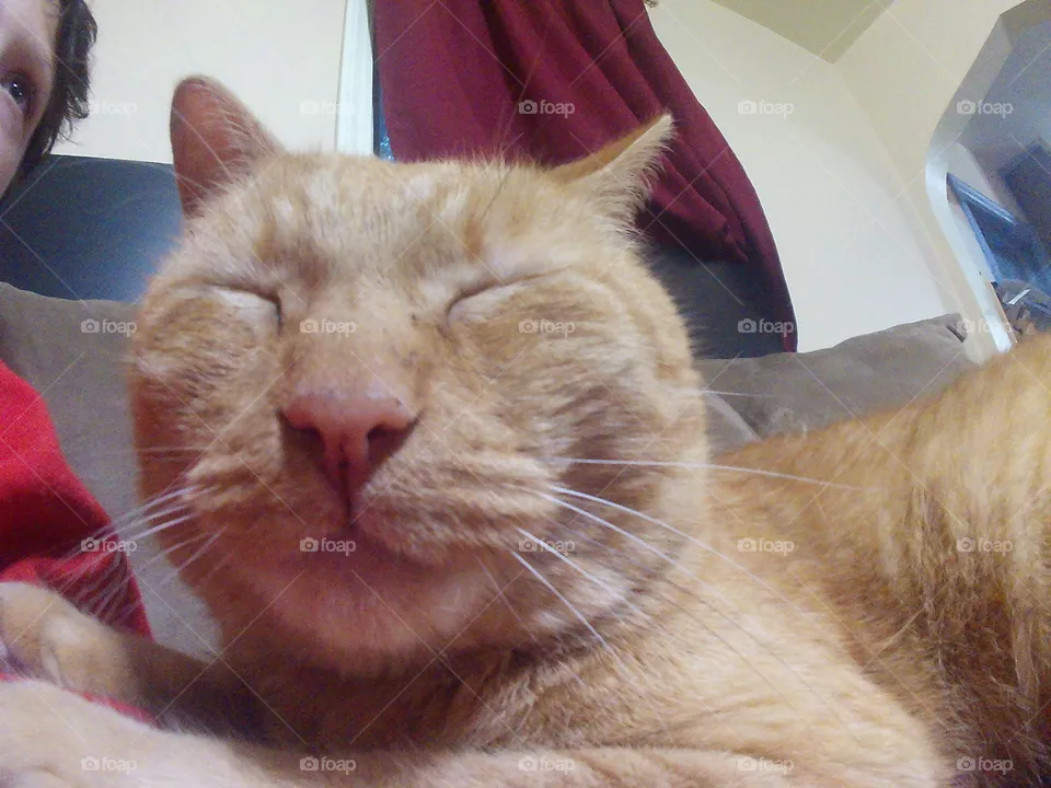 leo