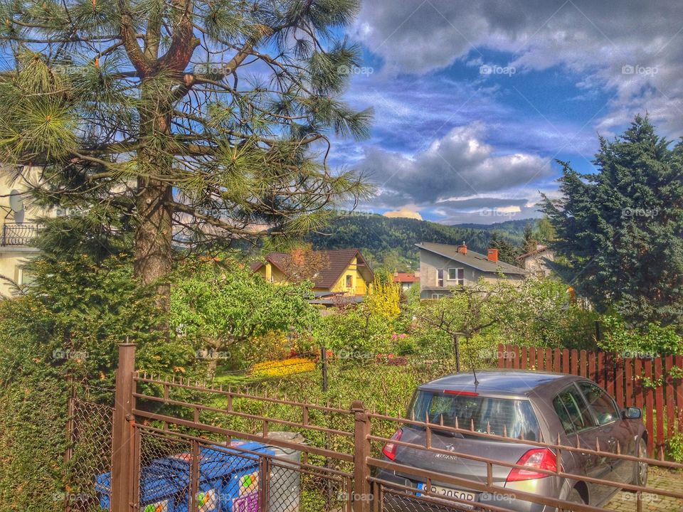 Life in the mountain