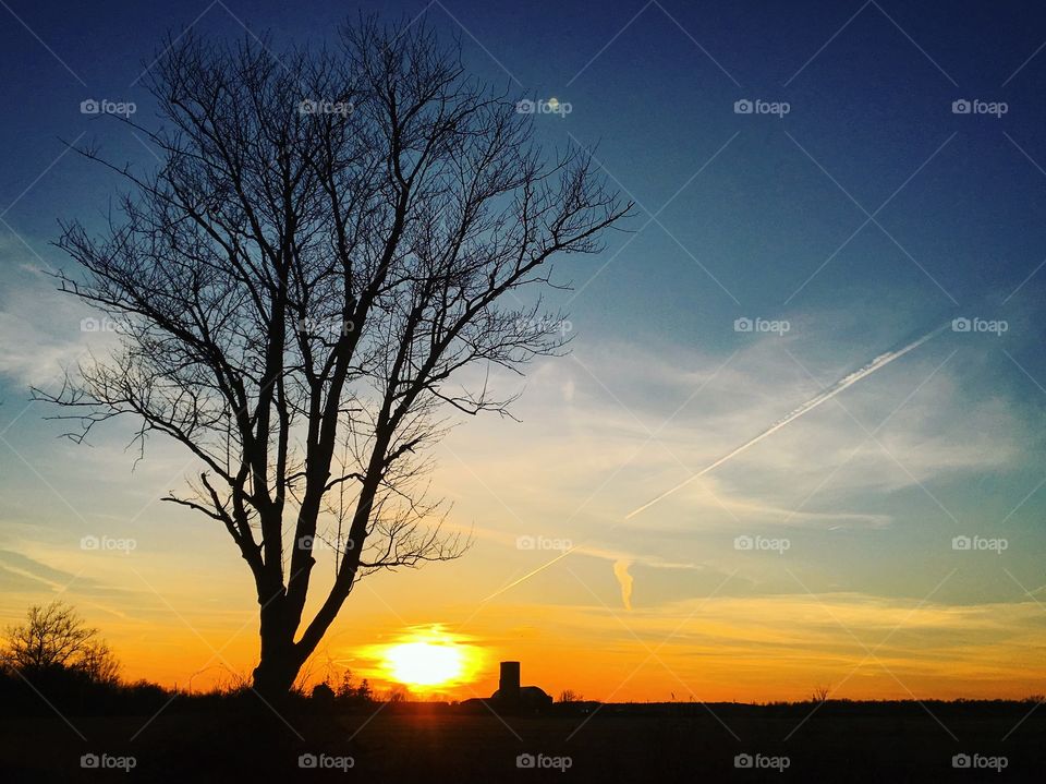 A striking sunset photograph with a silhouette of a large tree and a farm, bright orange sky and full moon above. 