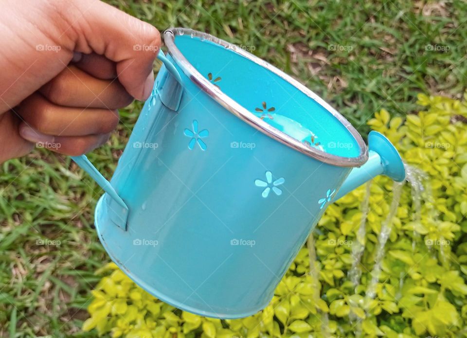 hand of a person using a watering can for plants, watering a bush