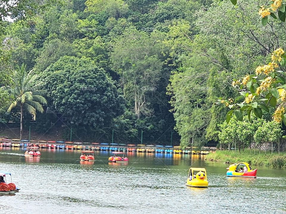 The park in sunshine day.