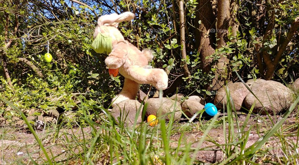 hase ostern Osterhase eier verteilen verstecken