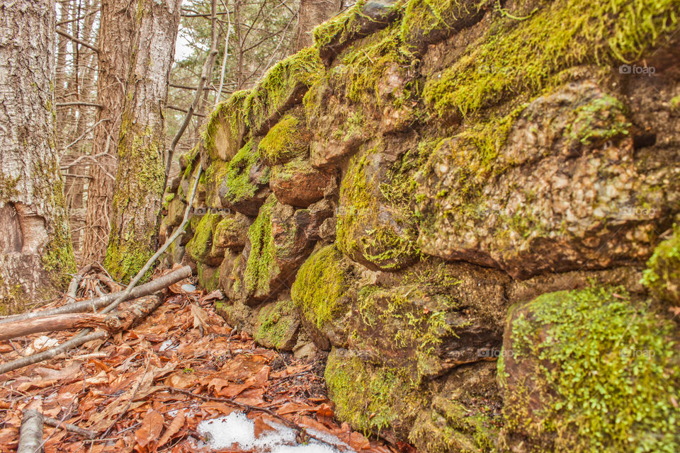 Moss covered stone wall