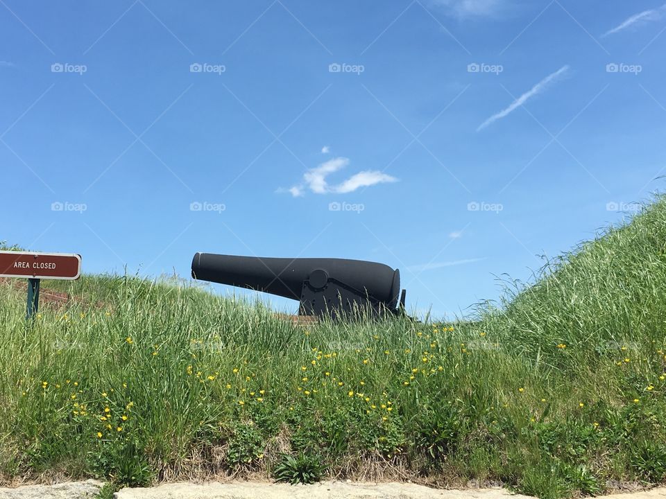 Sky, No Person, Grass, Summer, Field
