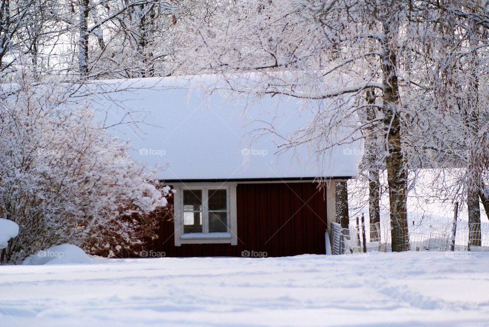 Winter cabin