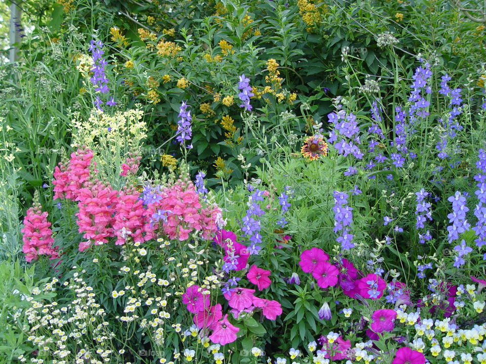 Spring Flower Garden