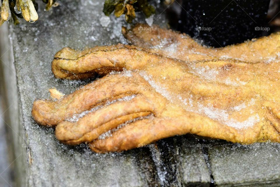 Frozen Garden Glove