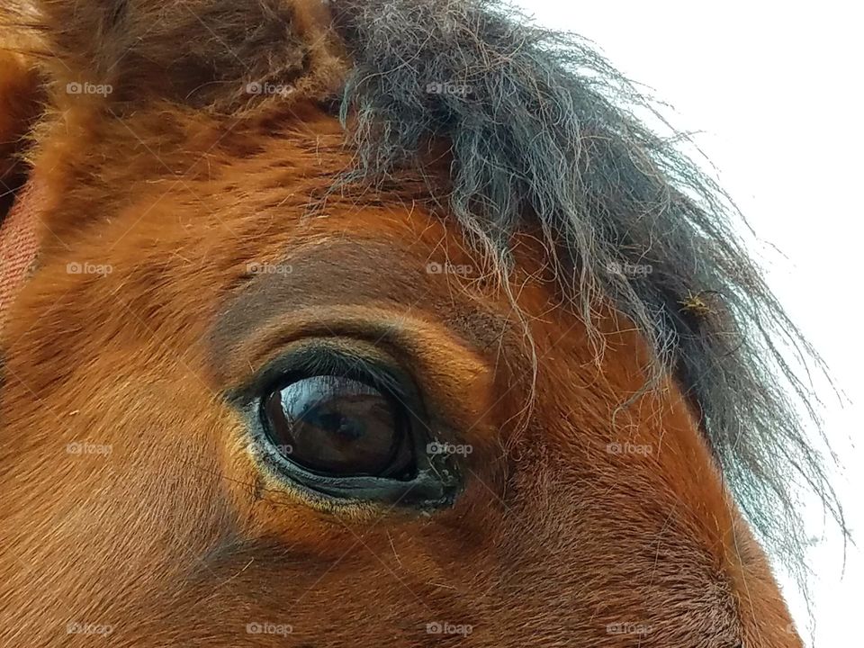 Driving the back Roads, Enjoying Nature