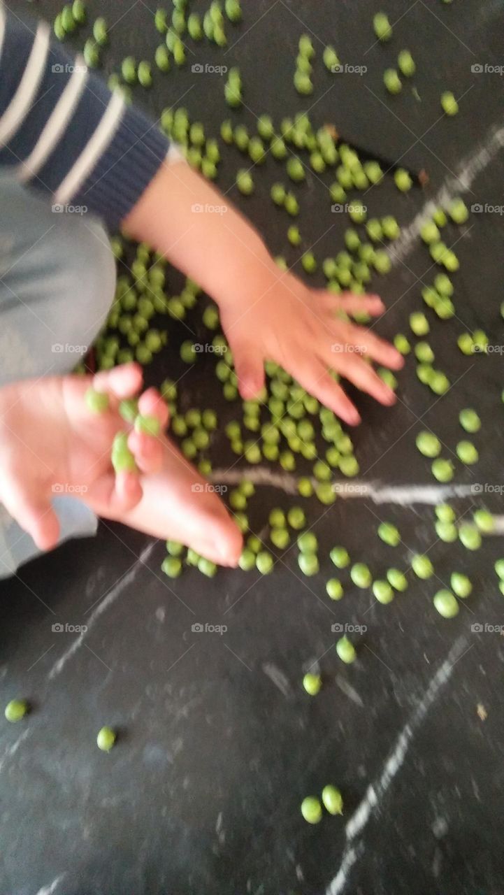 little boy plays by peas.