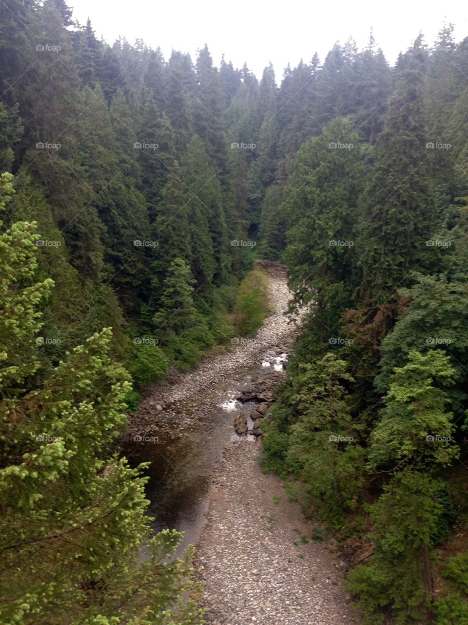 No Person, Nature, Wood, Outdoors, Travel