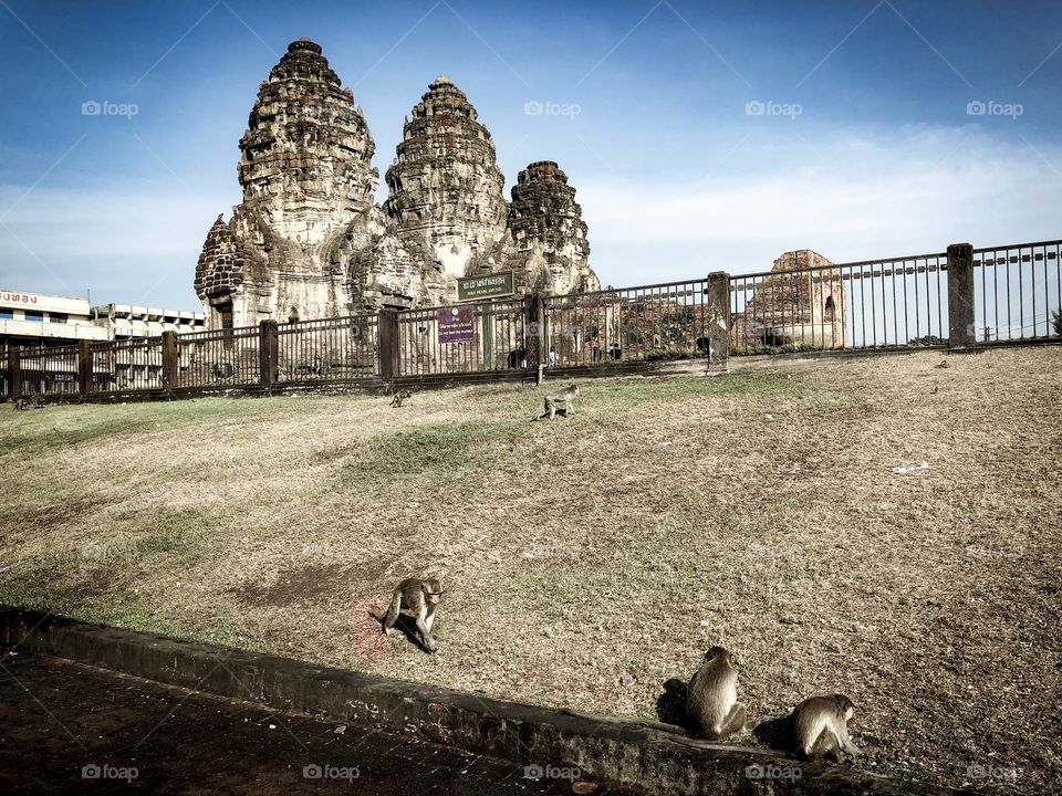 Never compare yourself or others to other people.
Everyone has their own struggles, own fights, 
And a different path that they chose to get to where they are.
Everyone is who they are for a reason.