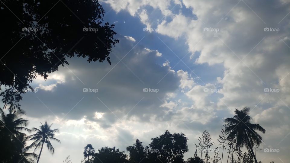 This is very very beautyfull click and nature