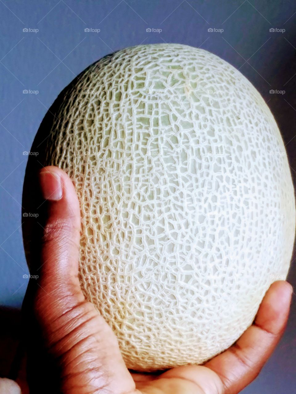 Person hand holding muskmelon