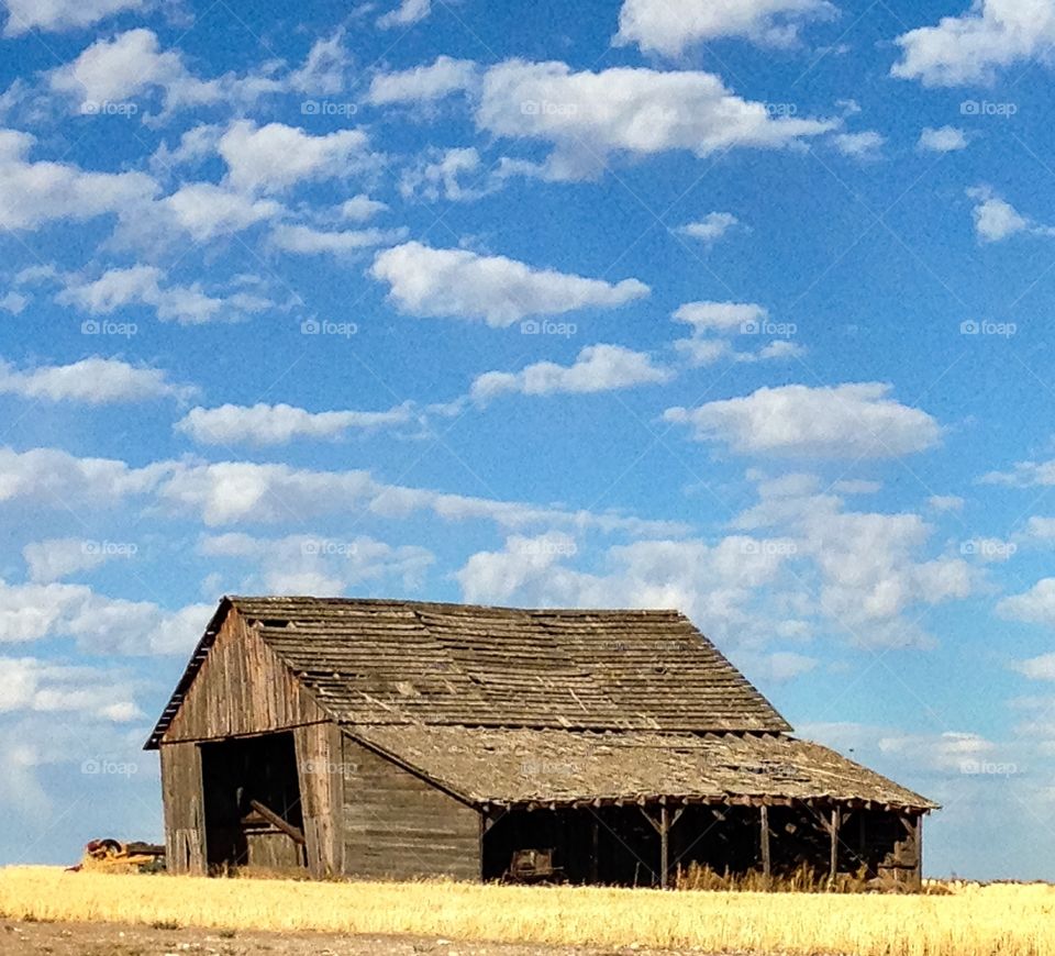 Barn