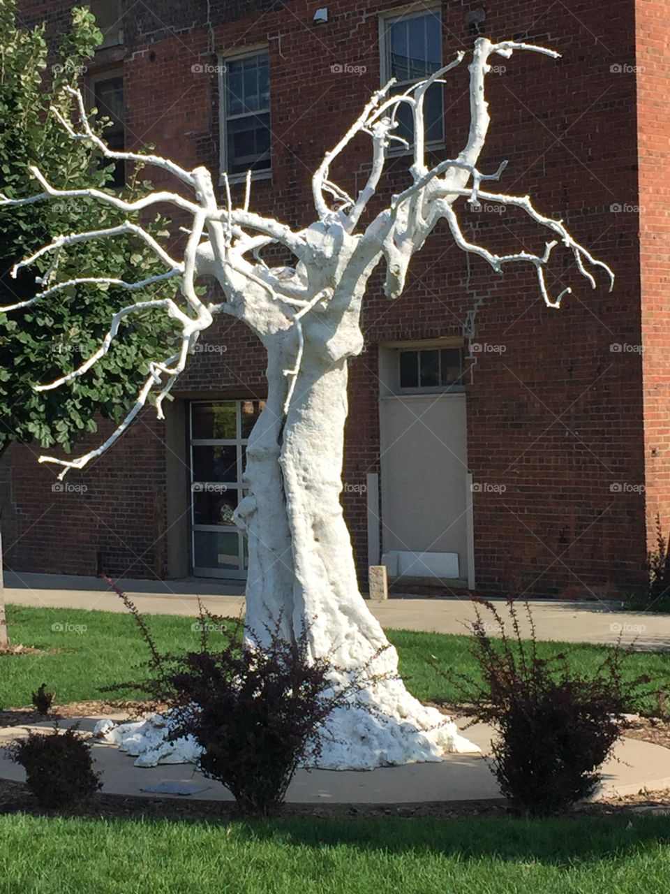 White tree at Des Moines Statue Park