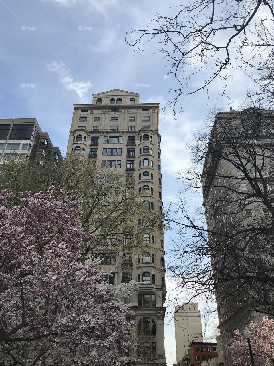 Rittenhouse Square in the Spring