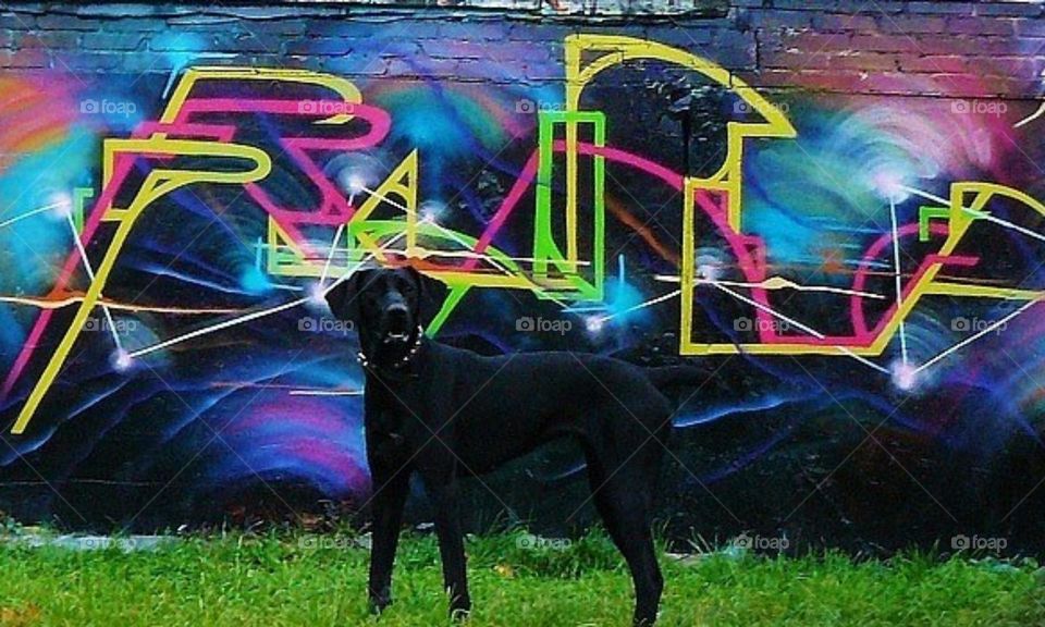 Beautiful graffiti in my city