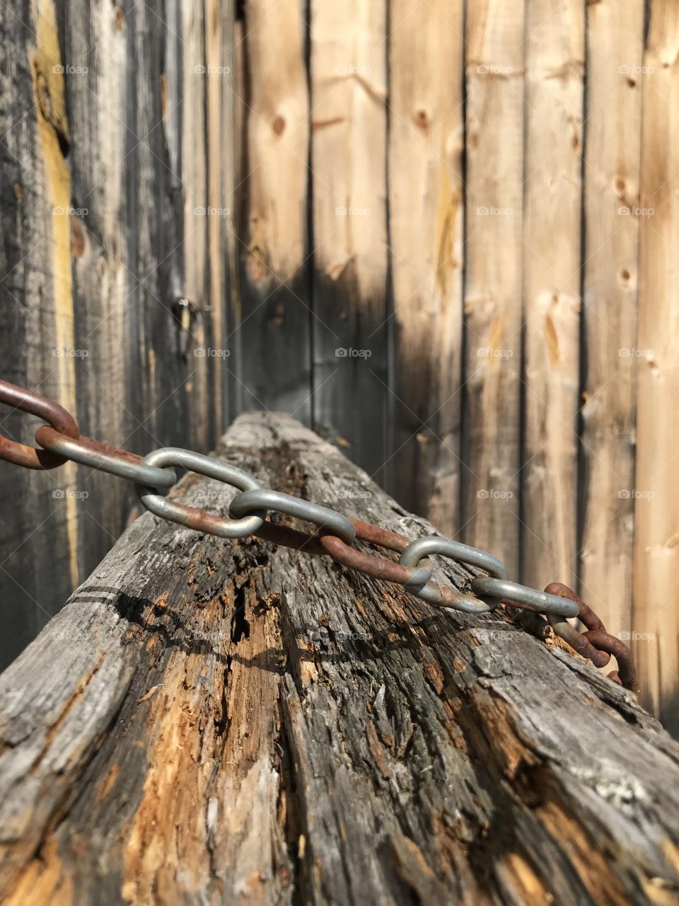Rusty chain holding a wooden door of a barn