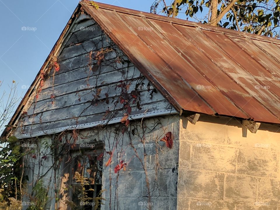 old shed