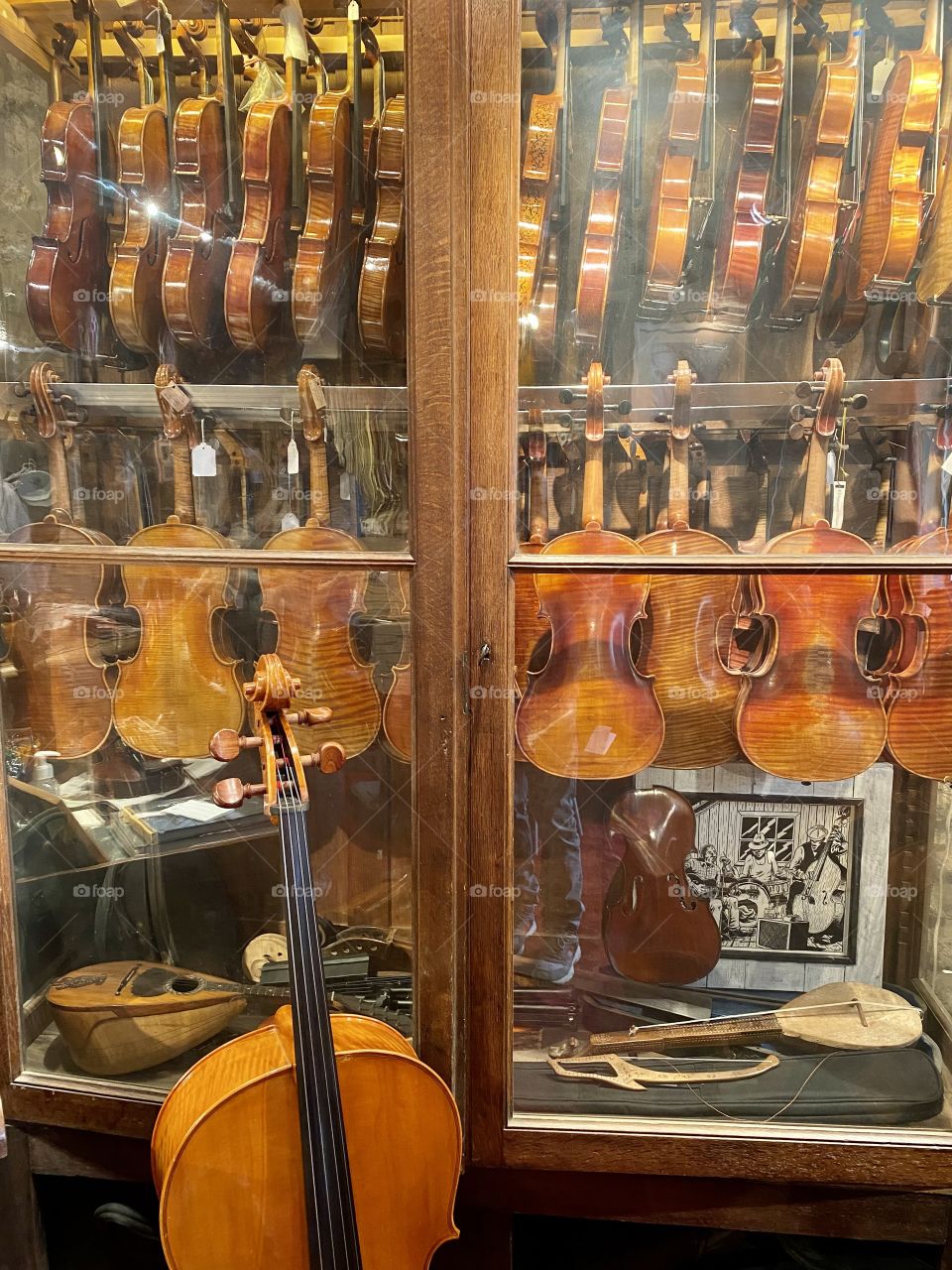 Violin showcase at a luthier's
