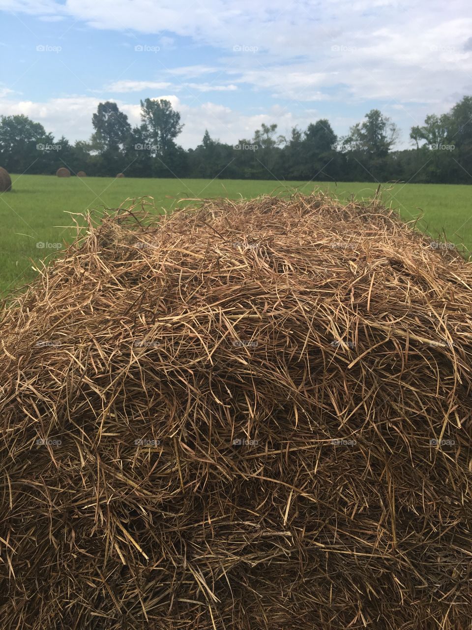 Hay Bale Country 4
