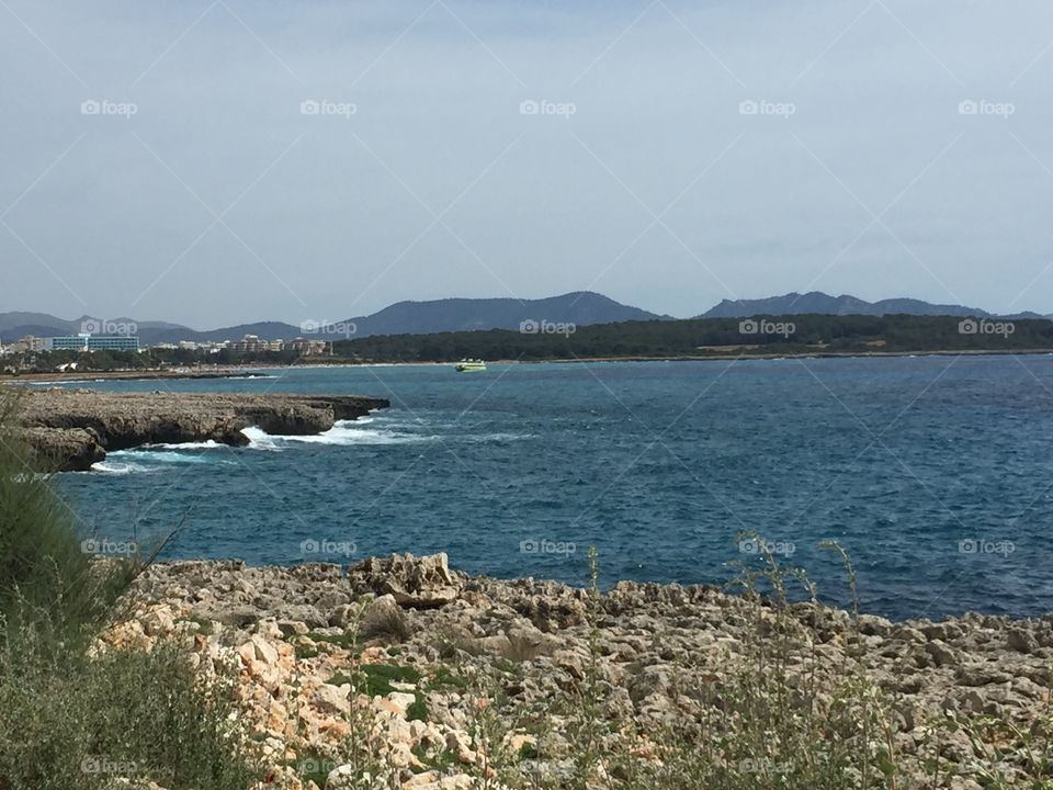 Summer natural scenery on an island