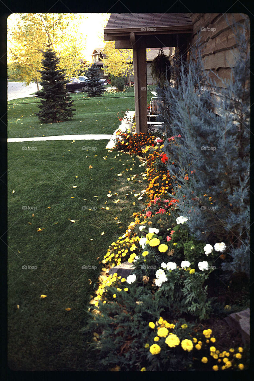 Calgary home Springtime