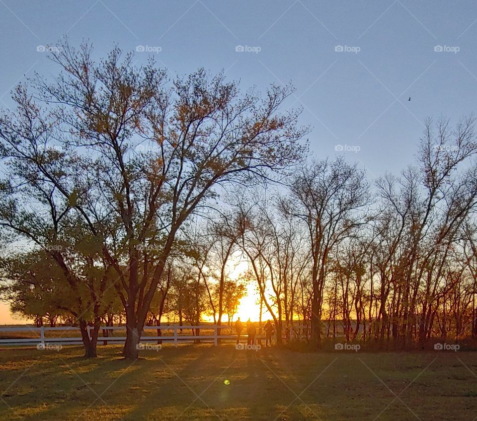 Dust behind the fence