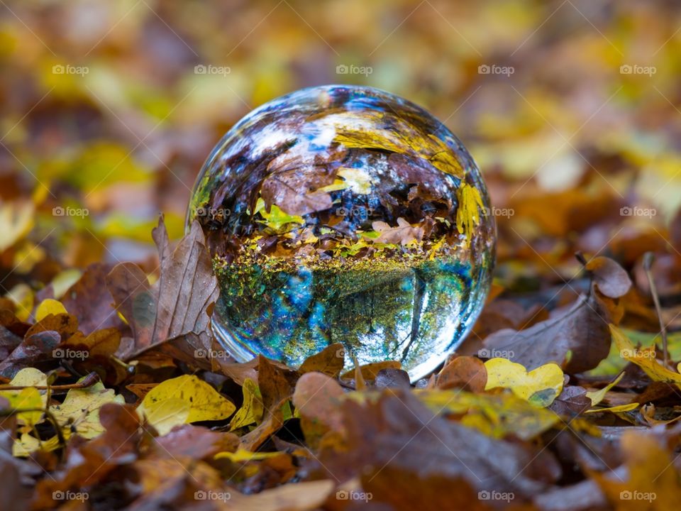 ball, glass, sphere, fall, foliage ...