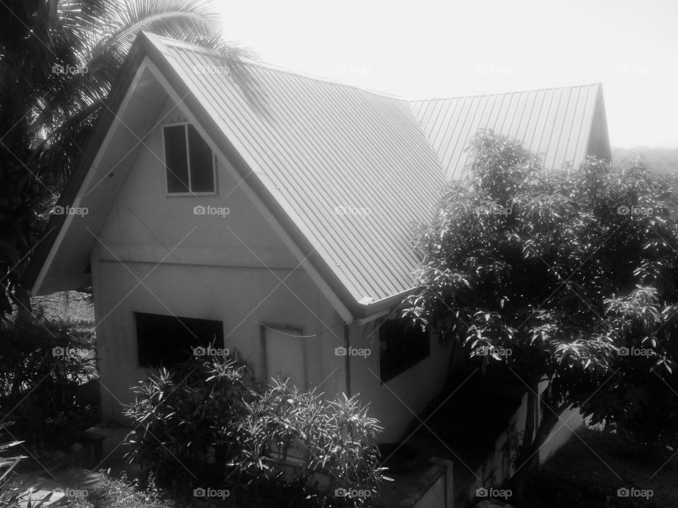 house . house in the Philippines