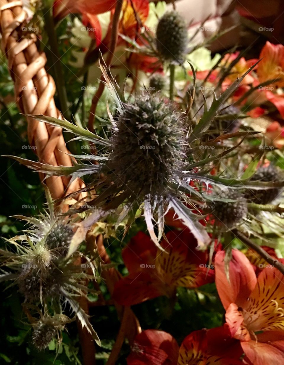 Close Up of Unusual Bouquet 