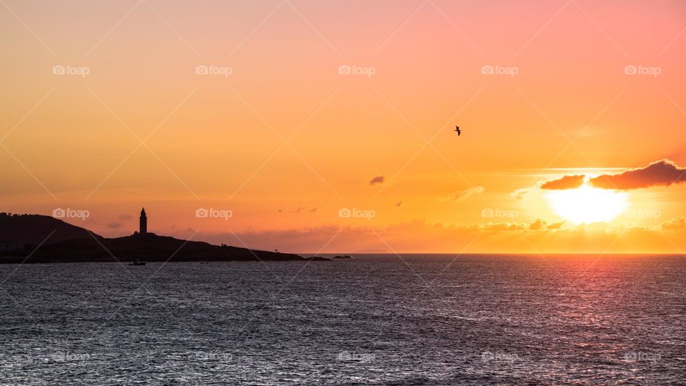 Landscape at the sunset with a lighthouse and a seagull