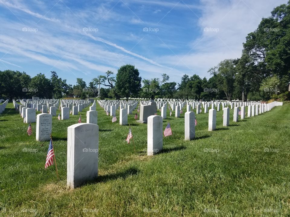 Arlington Cemetery Headstones all in a Row