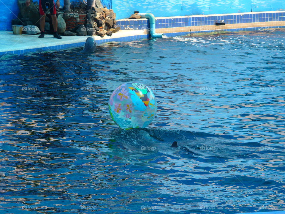 Swimming, Dug Out Pool, Water, Swimming Pool, Swimmer